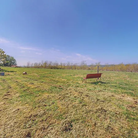 Amazing In Villaines-la-Gonais